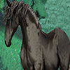 play Fantastic Color Horses Puzzle