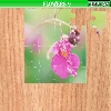 play Flowers 9