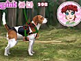 play Beagle Training