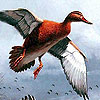 play Flying Spring Ducks Puzzle