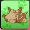 play Cats Memo