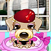 play Puppy Makeup