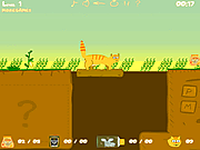 play Orange Cat Adventure