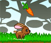 play Fluffy Runner Flash Animal