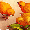 play Little Hungry Chicks Puzzle