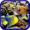 play Coral Reefs. Hidden Objects