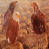 play Three Vulture Slide Puzzle