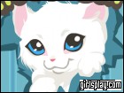 play Kitty Care