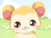play Hamster Care