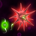 play Biodomination