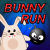 play Bunny Run