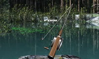 play Lake Fishing