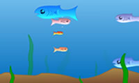 play Fishy