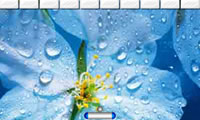 play Bomb Bricks