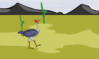 play Ostrich Jump