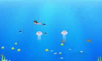 play Summer Shells