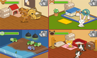 play Animal Shelters