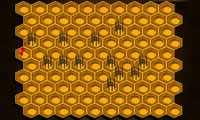 play Hive Trap