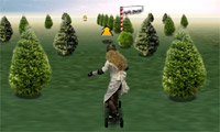 play Bearded Ladyboarding