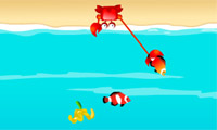 play Greedy Crab