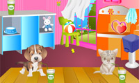 play Pet Caring