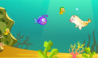 play Seal Growing