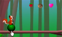 play Squirrel Balance
