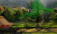 play Blood Shade