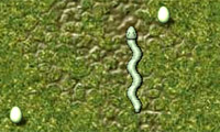 play Snake'S Adventure