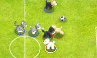 play Pet Soccer