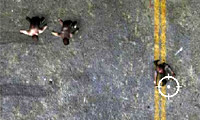play Undead Highway