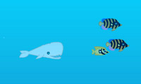 play Moby Dick