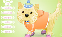 play My Glamour Pet
