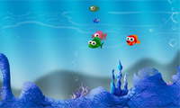 play Feeding Fish