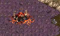 play Starcraft Flash Action 5