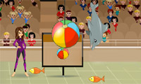 play My Dolphin Show
