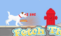 play Fetch This