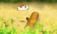 play Running Hamster