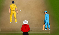 play World Cricket 2011