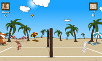play Beach Volleyball