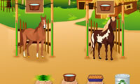 play Horse Care Apprenticeships