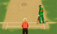 play World Cricket