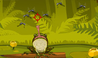 play Hungry Frog