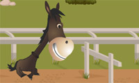 play Horsey Run Run 2