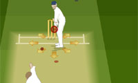 play Ipl Cricket 2012
