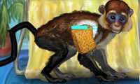 play Funny Monkey