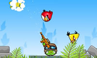 play Angry Pig