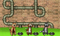 play Dogville Pipeline