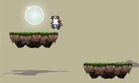 play Ninja Panda Couple