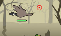 play Bird Blast